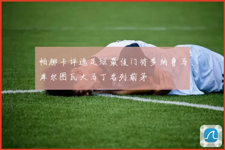 帕柳卡评选足坛最佳门将多纳鲁马库尔图瓦大马丁名列前茅