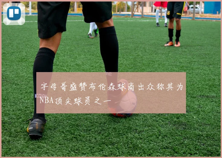 字母哥盛赞布伦森球商出众称其为NBA顶尖球员之一