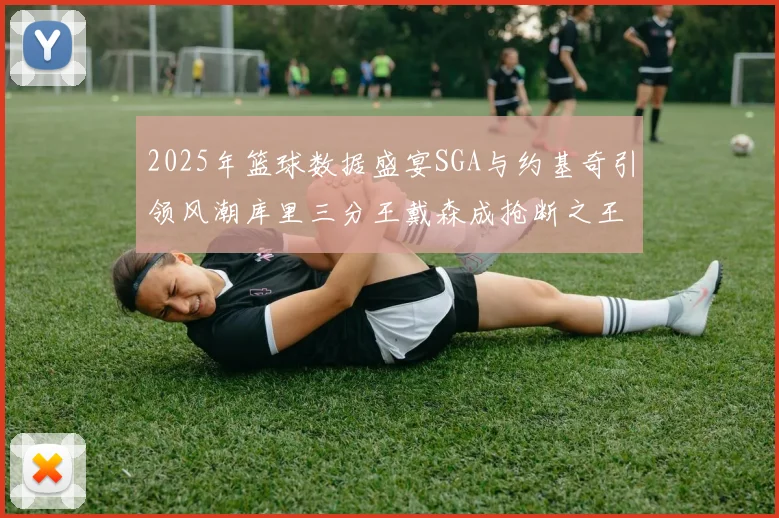 2025年篮球数据盛宴SGA与约基奇引领风潮库里三分王戴森成抢断之王