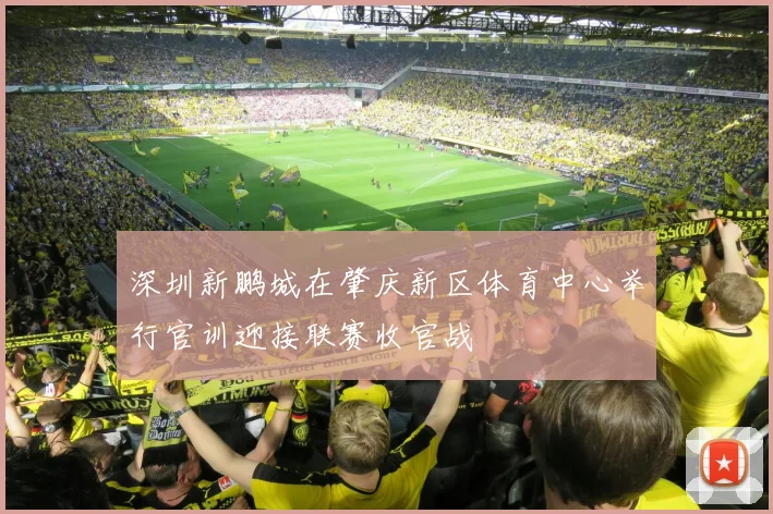 深圳新鹏城在肇庆新区体育中心举行官训迎接联赛收官战